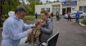 В Воскресенском районе отработали полный цикл борьбы с бешенством