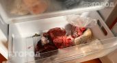 Вы просто переводите продукты в мусор: 7 вещей из морозилки, которые после разморозки станут несъедобными