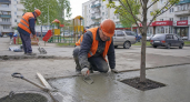 В Саратове при благоустройстве бетоном залили приствольный квадрат у дерева