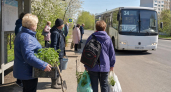 Автобус до дач в Саратове теперь ходит каждый день