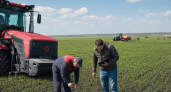 Саратовская область засеяла 70% яровых: в лидерах три района