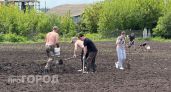 Один простой прием с картофелем перед посадкой гарантирует ведра отборных клубней: секрет опытных дачников