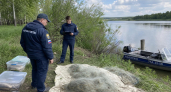 За две недели саратовские браконьеры лишились 563 кг рыбы и 18 машин