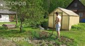 Проведите простой тест с обычным полотенцем на даче: так вы за пять минут узнаете о скрытой угрозе клещей