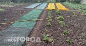 Забыла о кротах навсегда: достаточно просто закопать в землю одну вещь и они сбегут с участка сами