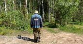 Мошка прокусывает одежду и не дает покоя: смешайте эти два аптечных средства и забудьте об укусах навсегда