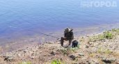 Выкиньте дорогую химию в мусор: одна простая смесь с кухни защитит от комаров на всю ночь без лишних затрат