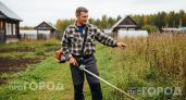 Больше не трачу деньги на леску для триммера: этот простой лайфхак позволяет косить траву в разы быстрее