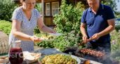 Забудьте про обычный салат: эта закуска из молодой капусты к шашлыку заставит гостей просить рецепт немедленно