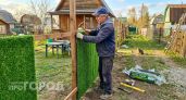 Хватит прятаться за безликим профлистом: выбираем стильное решение для приватности вашего участка