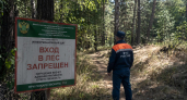 В лесах Саратовской области на 21 день ограничили пребывание граждан