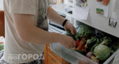 Больше не выбрасываю гниющие овощи: копеечное средство из аптеки сохраняет их свежесть до самого конца месяца