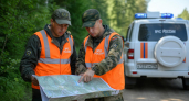 В Саратовской области за июнь живыми нашли 40 пропавших человек