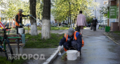Многие до сих пор белят деревья по привычке: узнайте скрытую причину этой традиции, о которой молчали годы