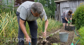 Храните чеснок правильно и забудьте о порче: этот простой лайфхак помогает продукту оставаться свежим до мая