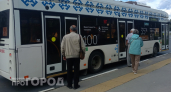 Забудьте про дорогие лекарства: один простой продукт поможет очистить сосуды от бляшек после сорока лет
