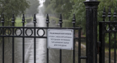 В Саратове из-за ветра до 15 м с временно закрыли четыре парка