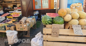 Арбуз или дыня: врач объяснила, какой продукт на самом деле принесет организму максимум пользы летом