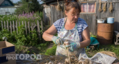 Больше не выбрасываю чеснок весной: узнала простой трюк для долгого хранения головок в обычном шкафу