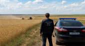 Бастрыкин поручил проверить сообщения о рабском труде в селе под Саратовом