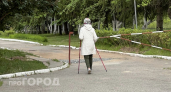 Забудьте про аптечные препараты: пять ежедневных действий помогут быстро очистить сосуды от холестерина