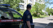 Бастрыкин взял на контроль дело о нападении собаки на школьника под Саратовом