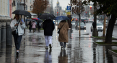 В Саратовской области к концу недели похолодает до плюс 19 и пройдут дожди