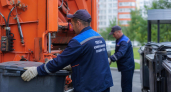 В Саратовской области предложили муниципальный вывоз мусора вместо монополии регоператора