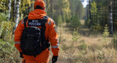 В лесах Саратовской области задержали 30 нарушителей пожароопасного режима