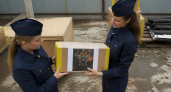 Из Саратовской области в зону СВО отправили стройматериалы, оборудование и медикаменты