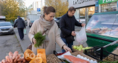 Хватит налегать на морковь: офтальмологи перечислили 7 простых продуктов для защиты вашего зрения каждый день