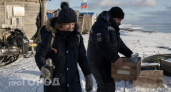 Единственная женщина в мужской компании на арктическом острове: как ей удалось выжить в ледяном плену