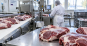 В Саратове производителя мясной продукции оштрафовали после выявленных нарушений хранения сырья