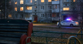 В Саратовской области пожаловались на ночную доставку алкоголя с оплатой криптовалютой