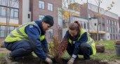 У нового корпуса школы № 63 в Саратове высадят деревья с трехлетней гарантией