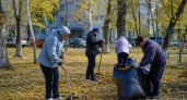 Во всех районах Саратовской области 10 октября пройдут субботники
