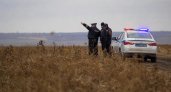 В Саратовской области уничтожили очаги дикорастущей конопли в трёх районах