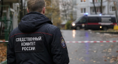СК установит организаторов атаки БПЛА на Саратовскую область после гибели женщины