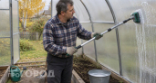 Больше никакой фитофторы: пять простых действий в теплице до морозов обеспечат вам чистый урожай весной