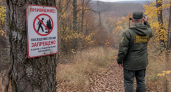 В Саратовской области до конца октября ограничили посещение лесов из-за пожароопасности
