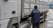 В Саратовской области долг на 15 миллионов рублей выставили на торги за 11,8 миллиона