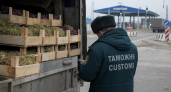 В Саратовскую область не пустили почти 24 тонны винограда из Кыргызстана