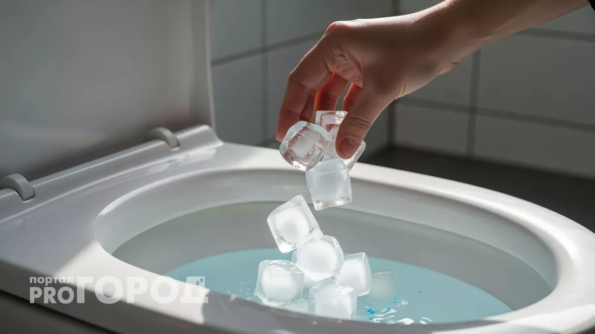 Кидаю в унитаз перед сном одну таблетку - просыпаюсь с идеально белой сантехникой без усилий