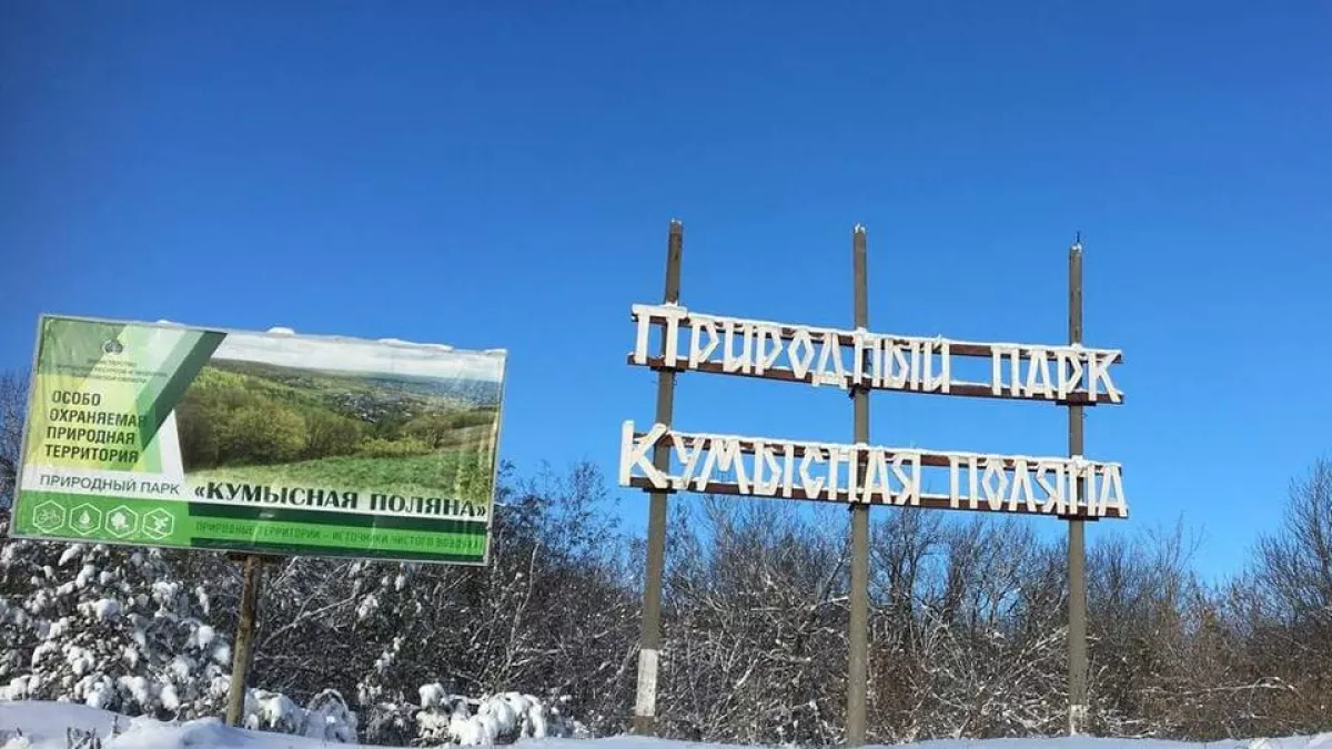 100 ядовитых кормушек расставят по Кумысной поляне за 3 млн