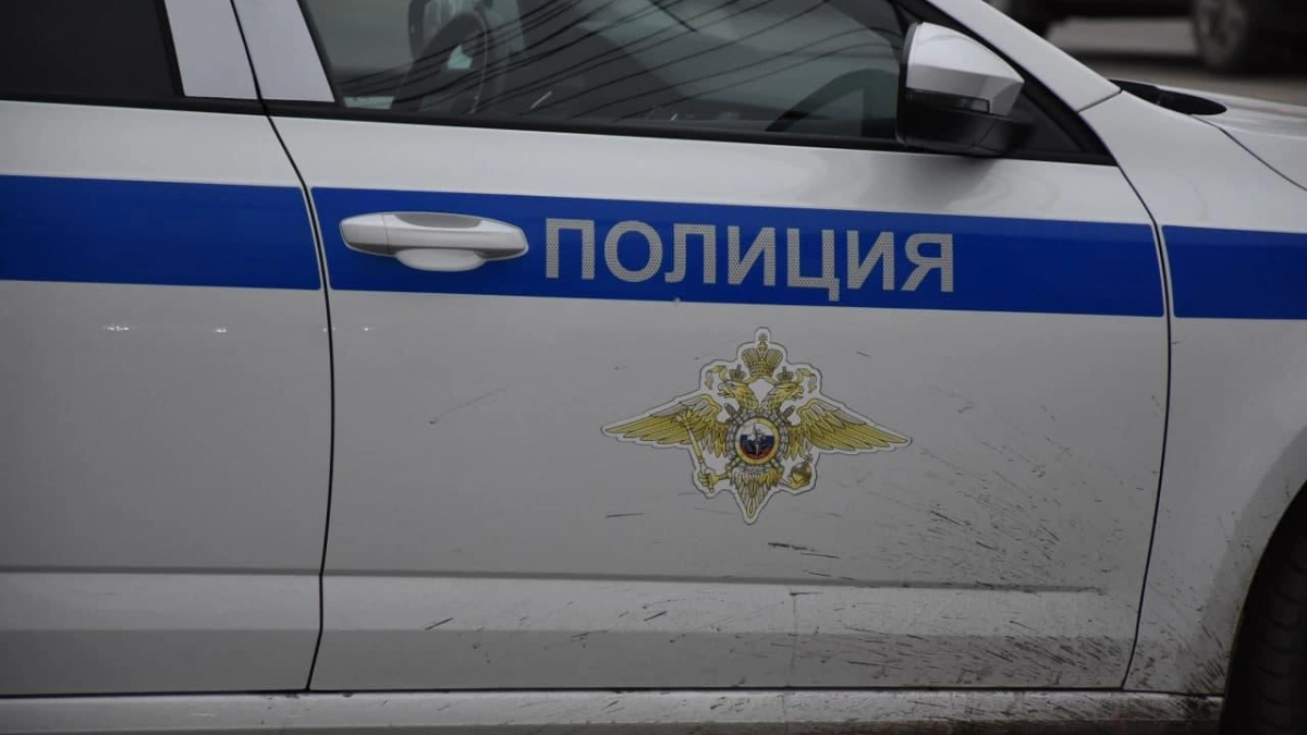 Пьяный саратовец ударил полицейского и получил штраф 30 тысяч