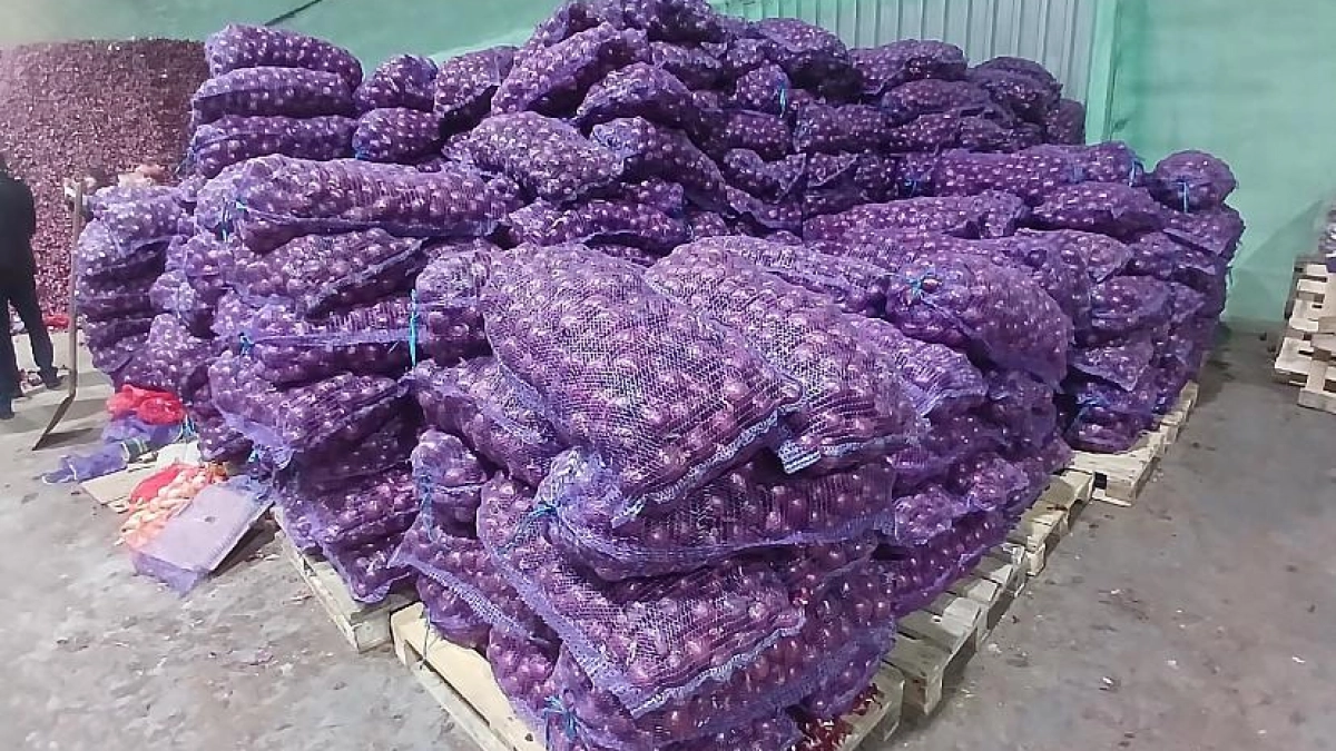 Фермер из Краснокутского района развивает хозяйство на 15 тысячах гектаров