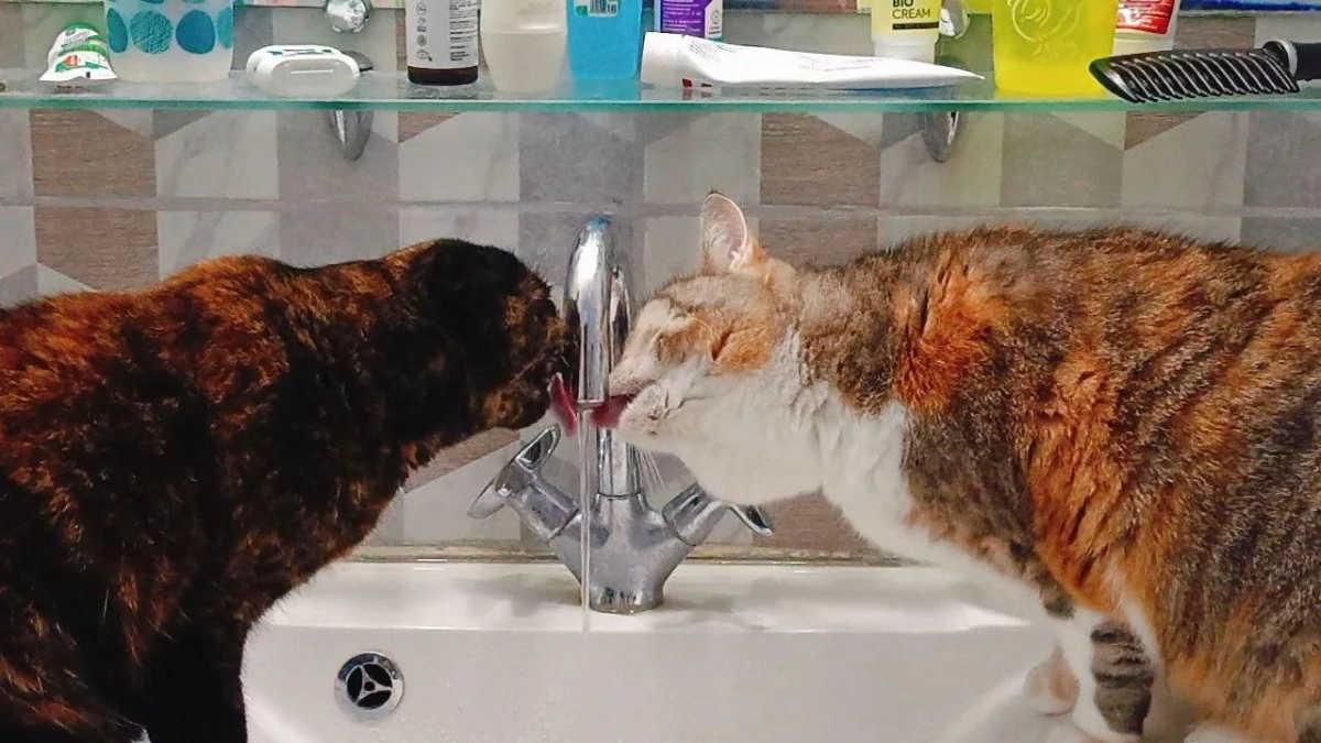 Саратовводоканал отключил холодную воду в трёх районах Саратова до полуночи