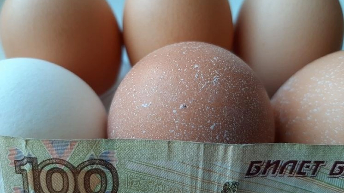 Яйца в Саратовской области дорожают до 4% в неделю — и это до Пасхи