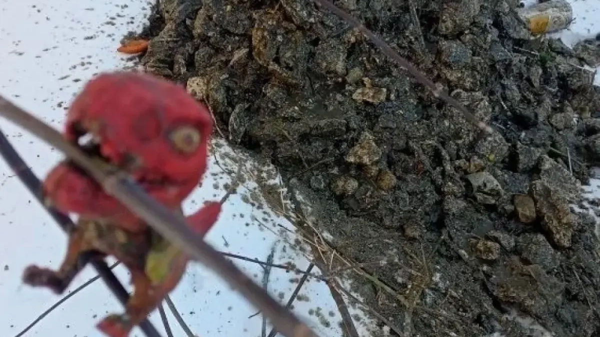 В саратовской канализации нашли детского динозавра и кролика