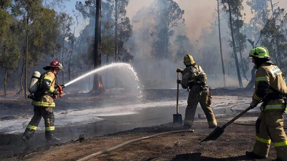 Саратовская область прошла проверку по 30 параметрам и готова к пожароопасному сезону